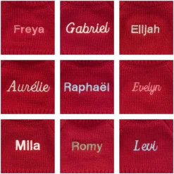 Bashful Giraffe with Personalised Red Jumper*Jellycat Best